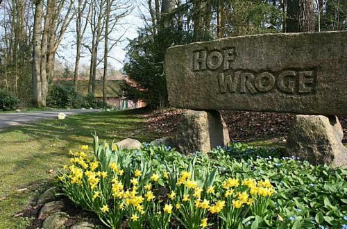 Ferienhof Wroge Витцендорф Экстерьер фото